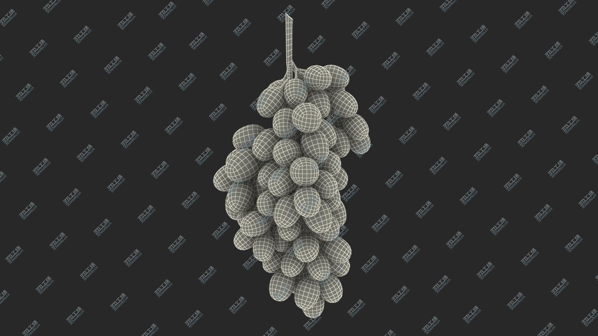 images/goods_img/2021040161/3D model Cluster of Dark Grapes/3.jpg